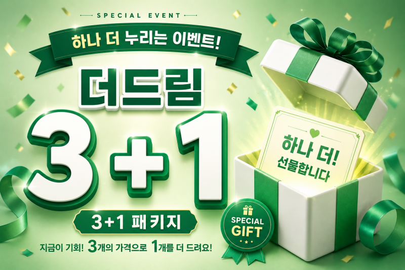 더드림 3 + 1 패키지